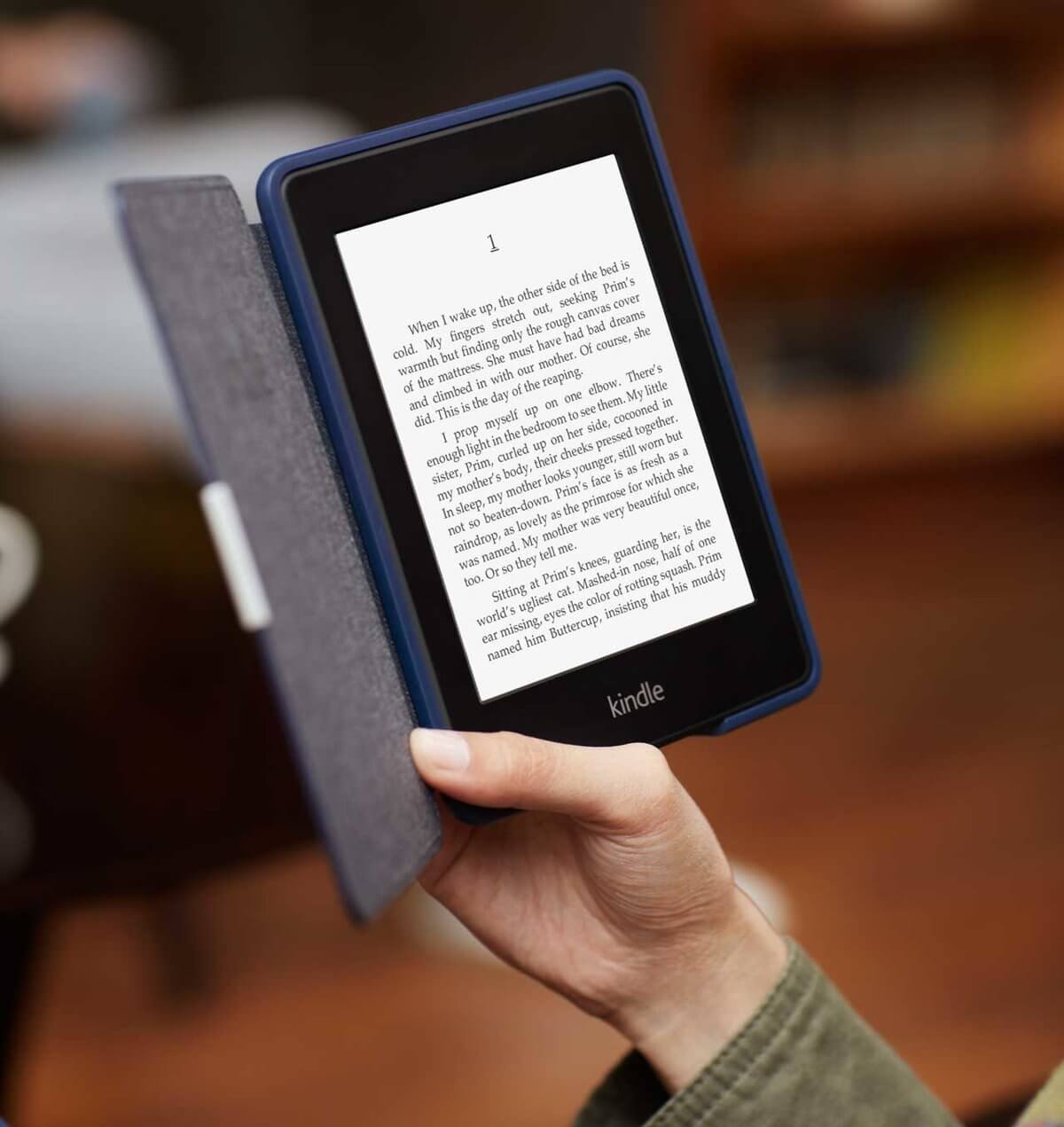 Какой формат файлов для электронной книги лучше — fb2 или epub? - книги от никиты