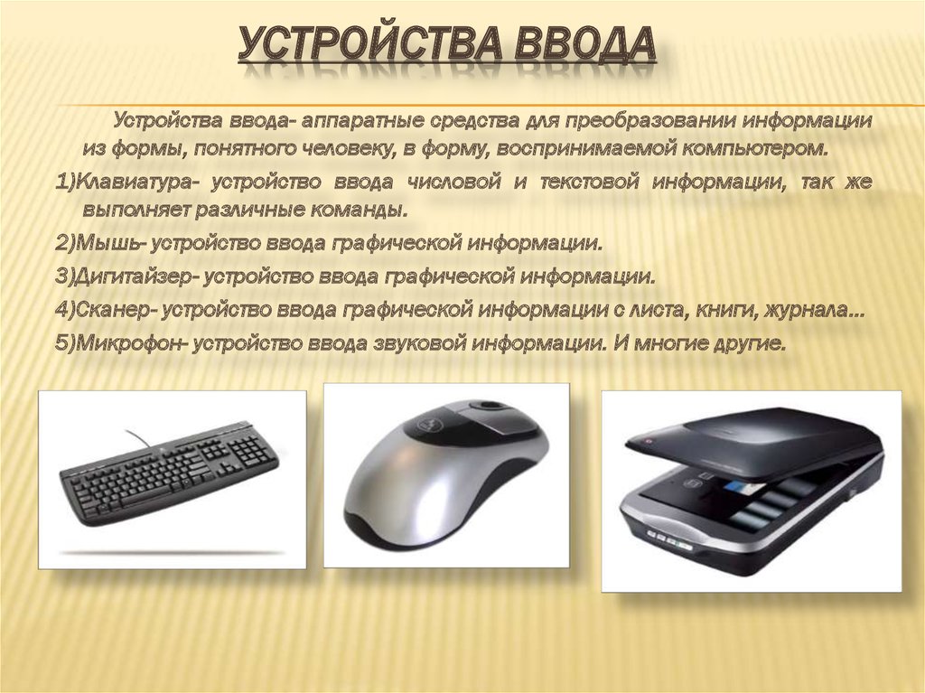 Урок 8§ 6. устройства ввода