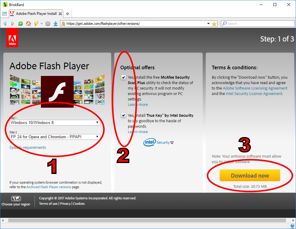 Adobe flash player