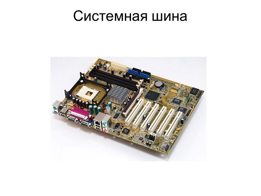Какие устройства входят в состав компьютера шины