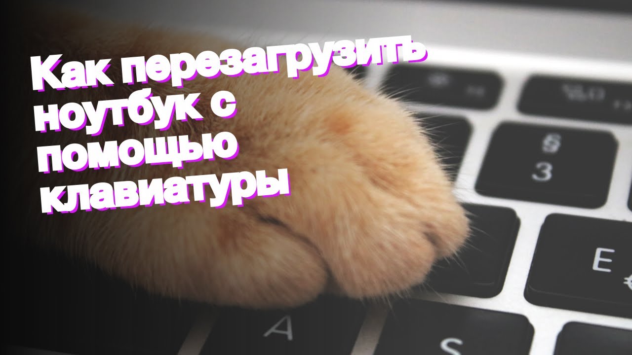 Что делать, если мышь работает, но курсор не двигается