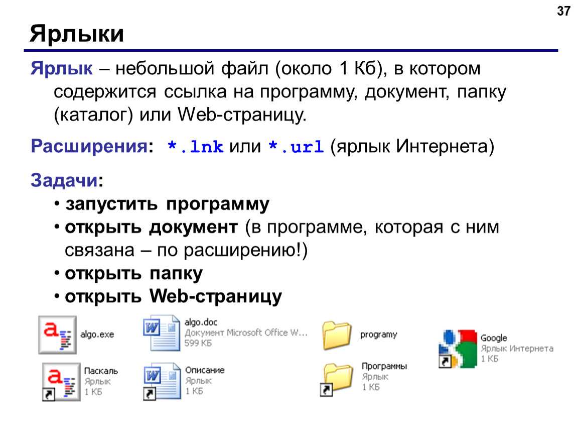 Что такое файлы и папки в компьютере