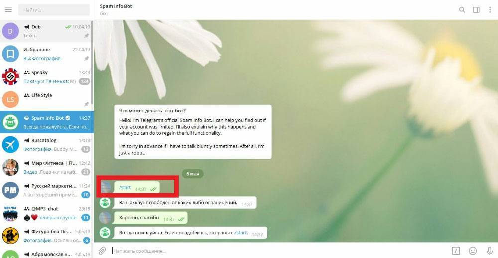 Как скачать telegram на компьютер