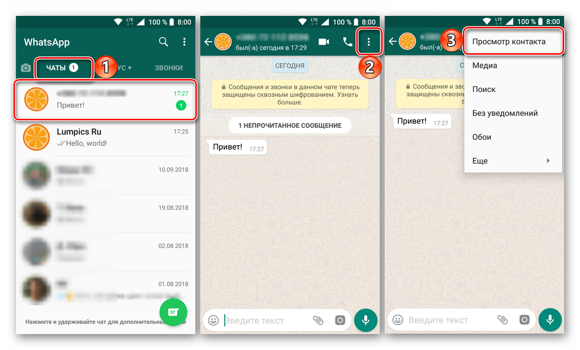 Whatsapp считается социальной сетью?