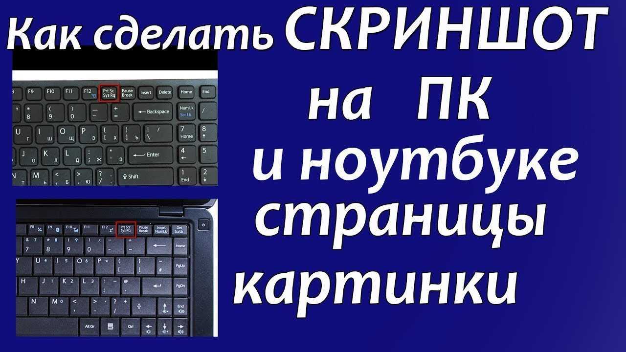 Как сделать скриншот экрана на ноутбуке: сфотографировать кнопкой prtsc, с помощью специальных программ