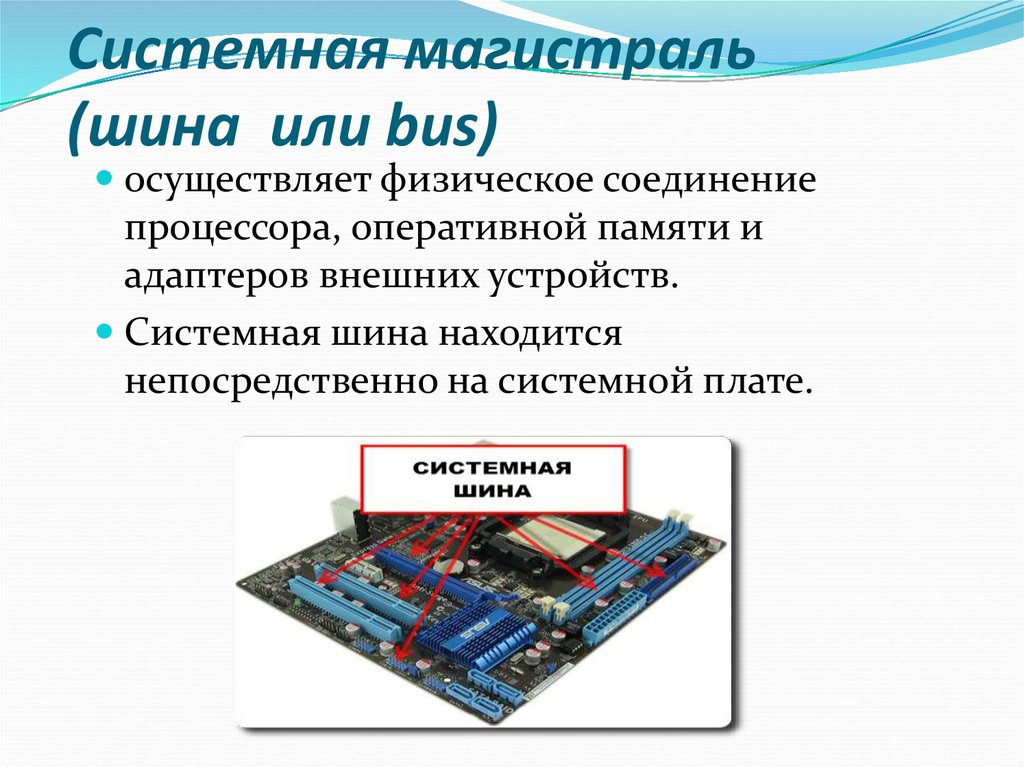 Системная шина - важнейший элемент компьютера. а что такое компьютерные шины