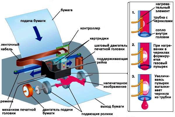 Как почистить принтер. делаем профилактику устройства самостоятельно