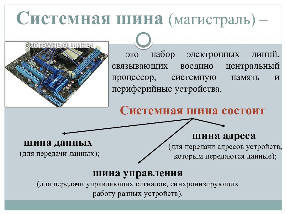 Что такое программное обеспечение и какие виды по бывают