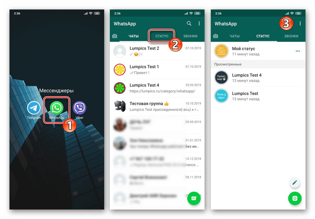 Как поставить статус в whatsapp - пошаговая инструкция на андроид, айфон или компьютер