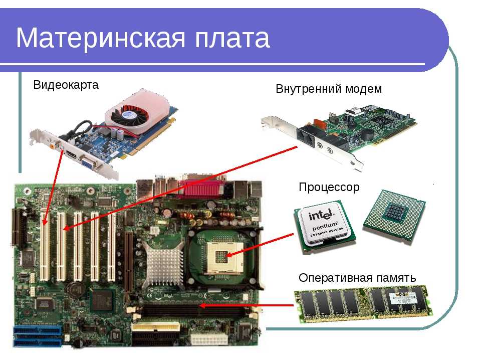 За что отвечает видеокарта?