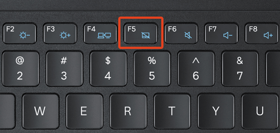 Как включить и выключить тачпад на ноутбуках dell, hp, acer, lenovo, asus, xiaomi, apple, windows, msi