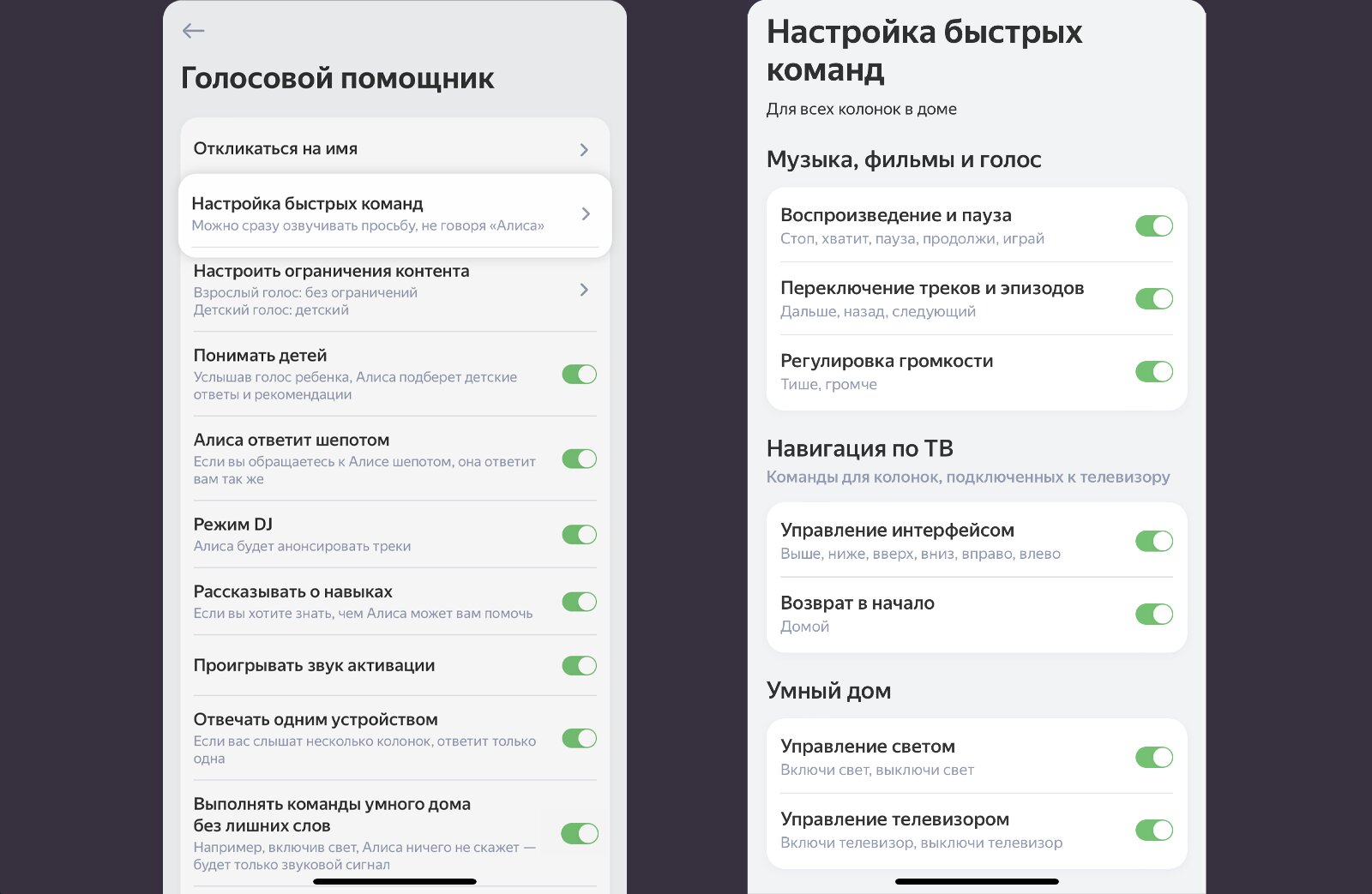 Учим алису управлять нашим умным домом | inhomekit