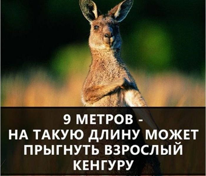 Технологии хранения информации - libtime