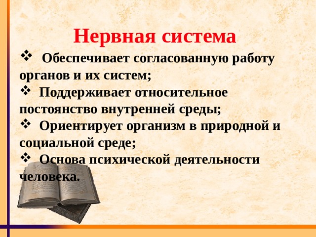 Программное обеспечение для согласованной работы всех узлов компьютера: важность, функции, примеры