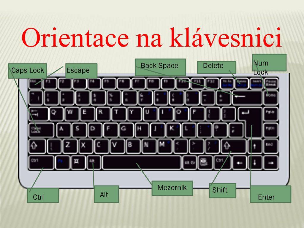 Где находится кнопка на клавиатуре page down?
