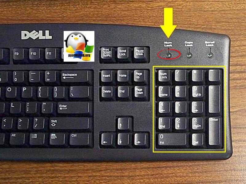 Для чего кнопка numlock на клавиатуре и как её использовать