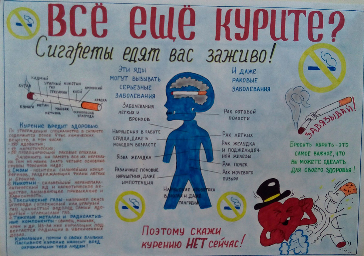 2 легких способа создать брошюру в ворде на всех версиях офиса