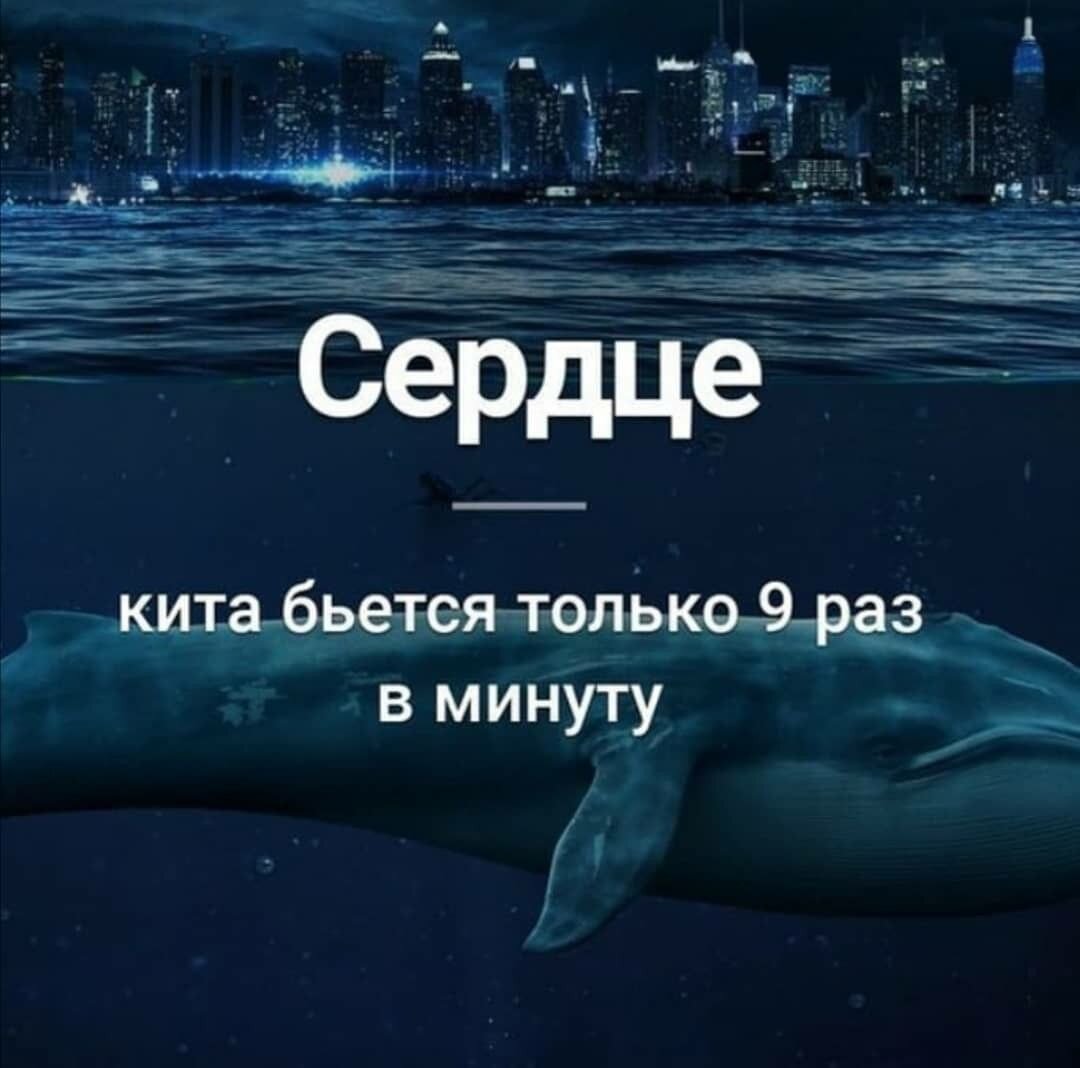 Архитектура эвм