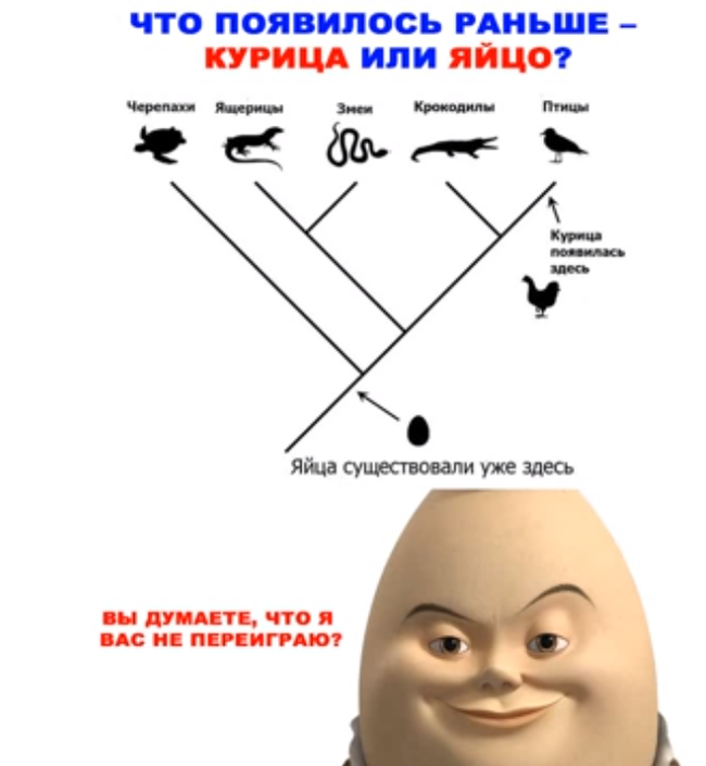 Что появилось раньше курица или яйцо: кто был первым и быстрее