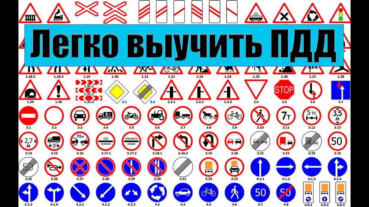 Как сдать экзамен на права: полный обзор процесса + как сдать с первого раза