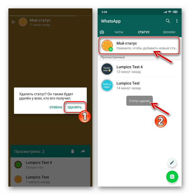 Whatsapp-статусы и всё, что о них нужно знать