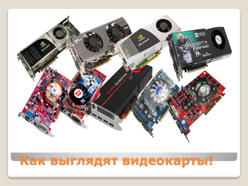 Анатомия. из чего состоит видеокарта? — i2hard