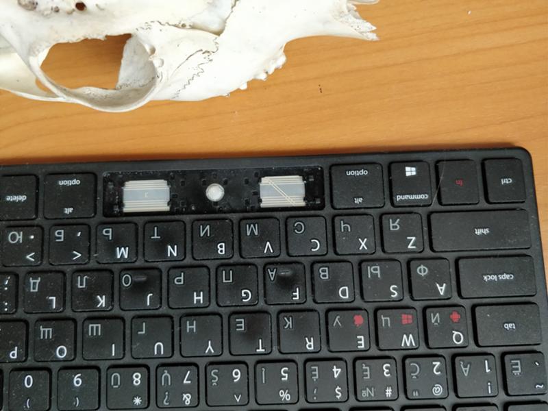 Что делать если на компьютере не работает пробел? - справочник современным технологиям