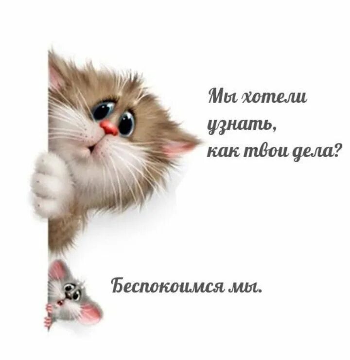Как отправить большой файл через outlook