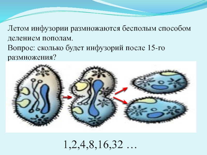 Сколько мегабайт или килобайт в гигабайте, перевод одних единиц в другие