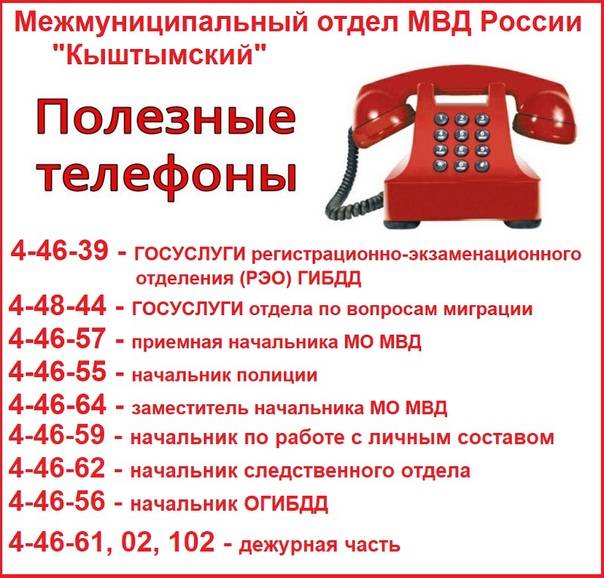 Звоним на телефон с компьютера: лучшие программы и сервисы