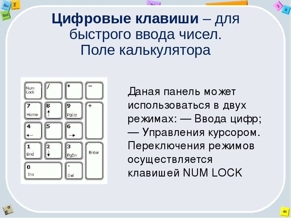 Как включить клавиатуру на ноутбуке: 6 способов | ichip.ru