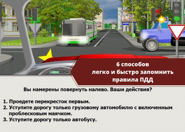 Программное обеспечение компьютерной графики. классификация программного обеспечения компьютерной графики