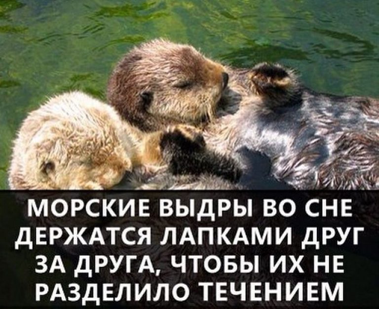 Что относится к энергонезависимой памяти? - справочник по pc и гаджетам