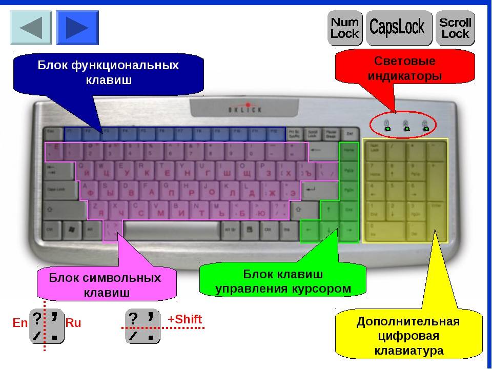 Способы ремонта клавиатуры ноутбука, если не работают некоторые клавиши