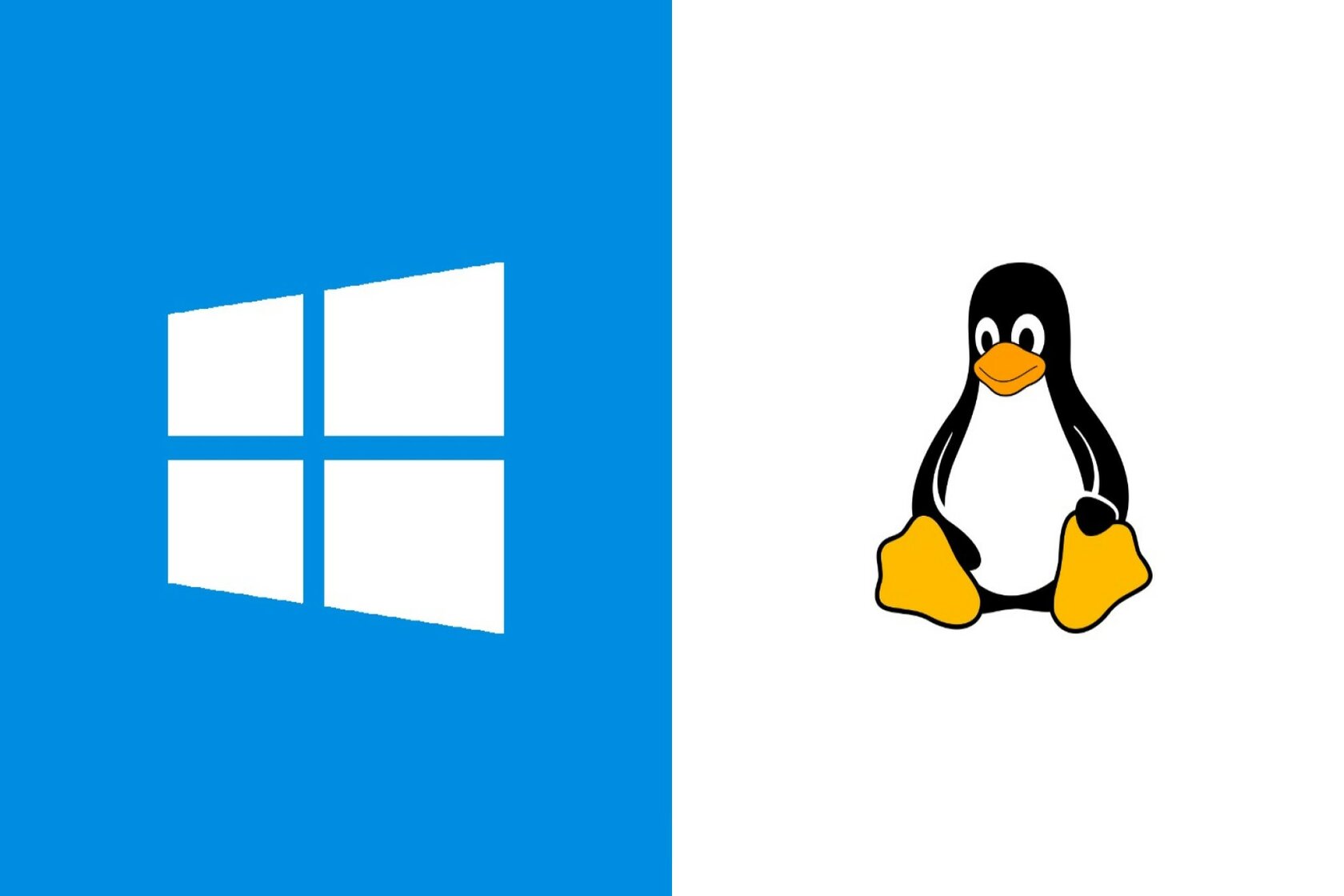 Windows subsystem for linux